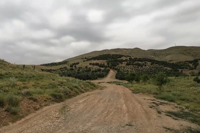 پارک جنگلی سوهانک برای گشت و گذار پارک جنگلی سوهانک