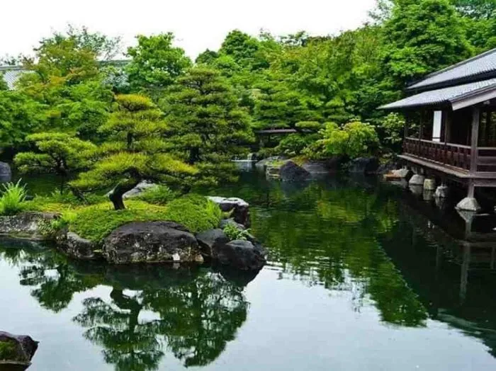 معرفی معبدها و باغهای توکیو: جاذبههایی از تاریخ و آرامش