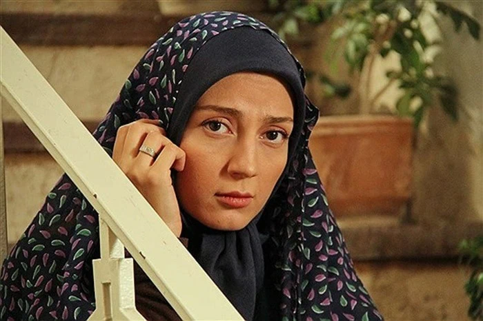 حدیث میرامینی ستایش حدیث میرامینی