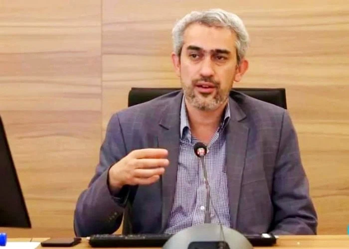 علی مدنی زاده وزارت اقتصاد علی مدنی زاده