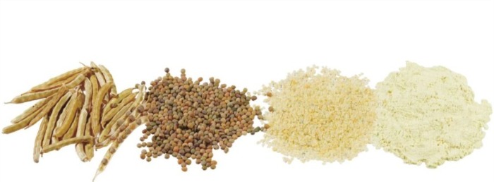 بررسی اهمیت و کاربردهای کلرید کلسیم، مونو دی گلیسیرید و گوارگام در صنایع تولید مواد غذایی