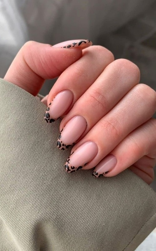 طرح پلنگی طرح پلنگی