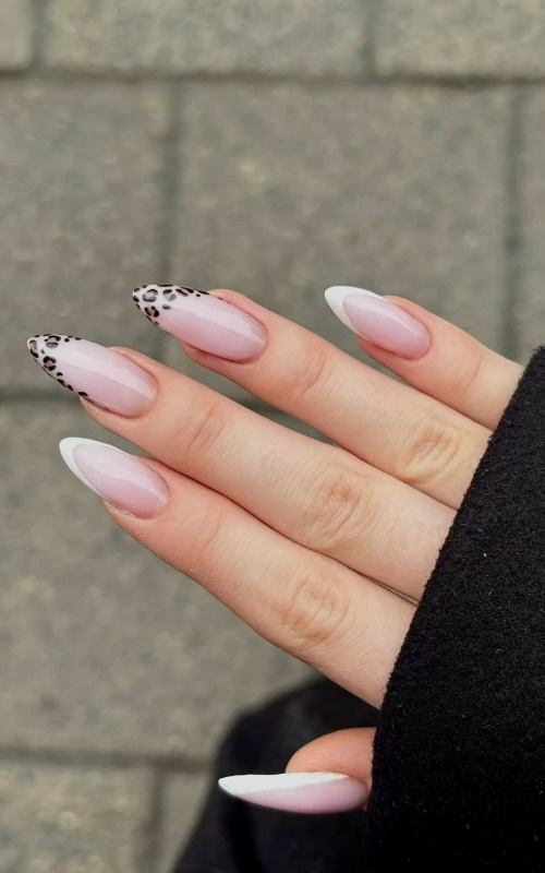 طرح پلنگی طرح پلنگی