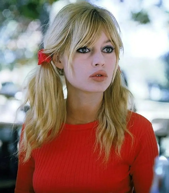 ازدواج و همسران بریژیت باردو بریژیت باردو