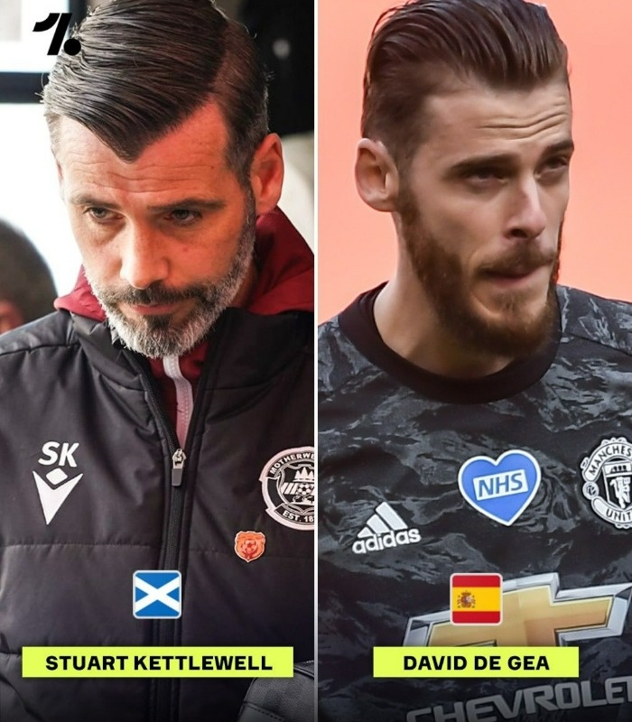 شباهت داوید د خیا و اسوارت کتلول داوید د خیا و اسوارت کتلول