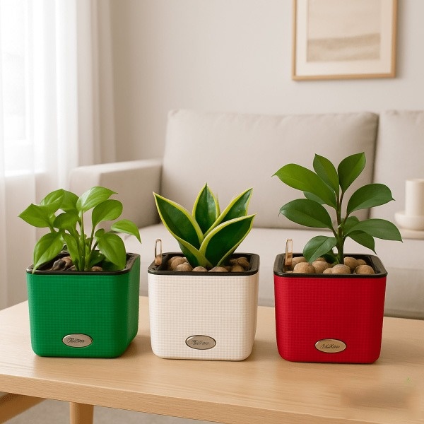 معرفی جدیدترین مدل های گلدان برای گیاهان گلدان خودآبیار مربعی لچوزا