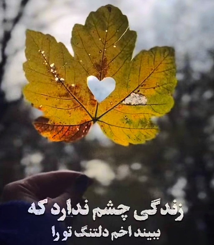 عکس نوشته شعر دو قدم مانده که پاییز به یغما برود شعر دو قدم مانده که پاییز به یغما برود