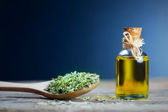 فواید درمانی پونه روغن پونه کوهی