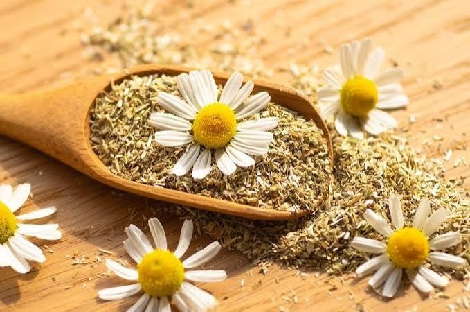 بابونه بابونه