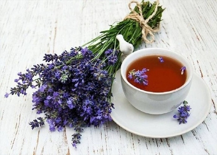 گل گاو زبان گل گاو زبان