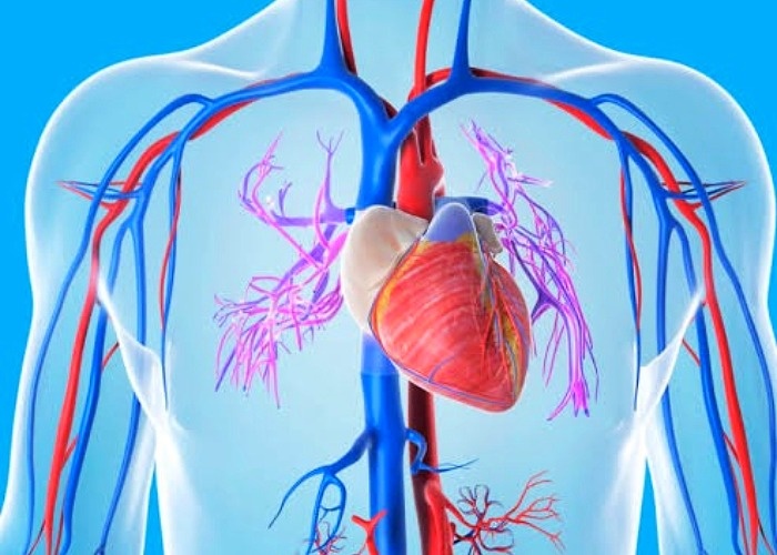 خواص رب گوجه فرنگی خانگی + ارزش غذایی و عوارض رب
