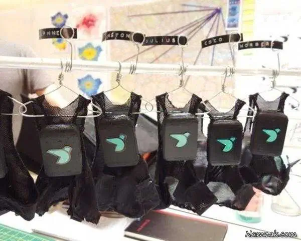 کبوتران لندنی بررسی آب و هوا