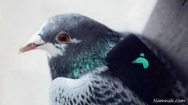 بررسی آب و هوا جی پی اس