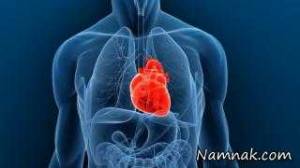 قلب مصنوعی ، ساخت قلب مصنوعی