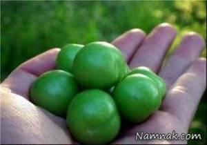 گوجه سبز ، مضرات گوجه سبز