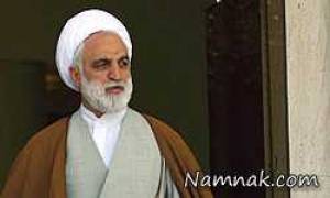 محسنی اژه ای ، سخنگوی قوه قضاییه