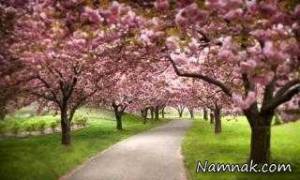 استرس ، کاهش استرس