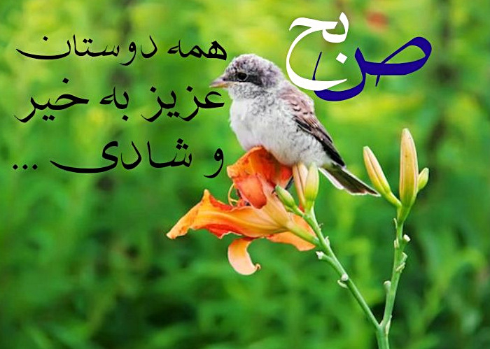 صبح بخیر فانتزی دوستانه صبح بخیر فانتزی