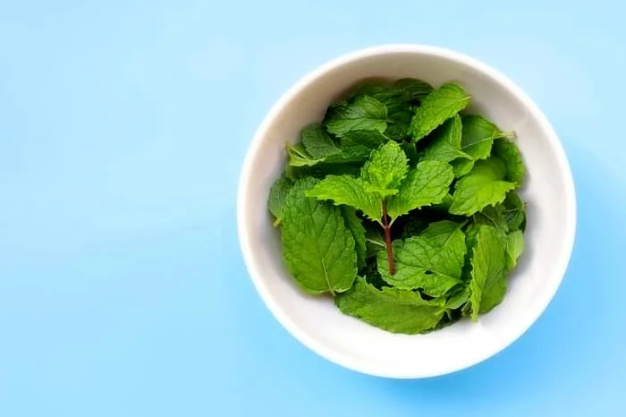 نعناع برای درمان ترک و خشکی پا خواص نعناع