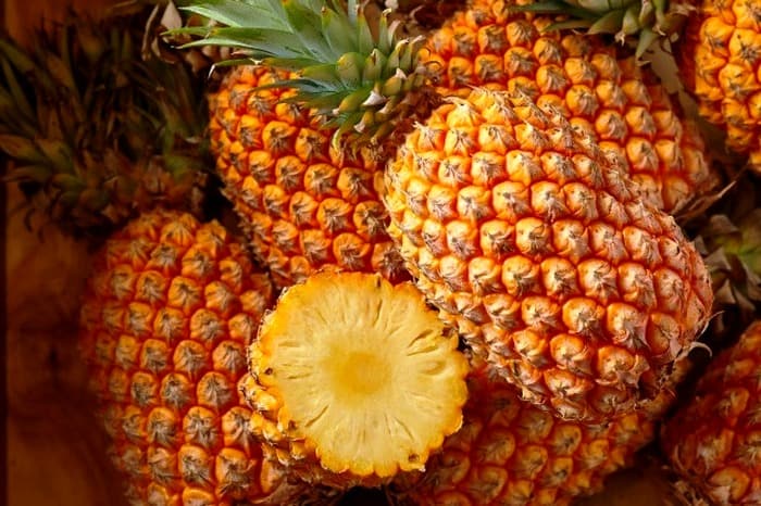 عکس مزرعه آناناس
