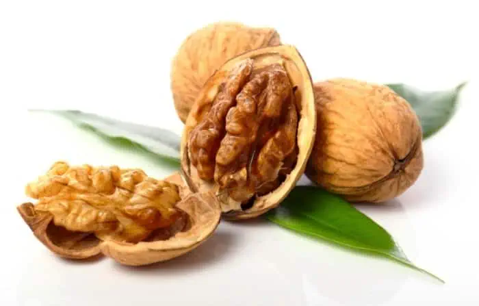 مغزها