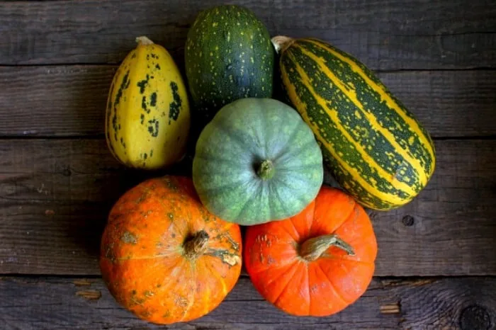 فواید کدو حلوایی فواید کدو تنبل