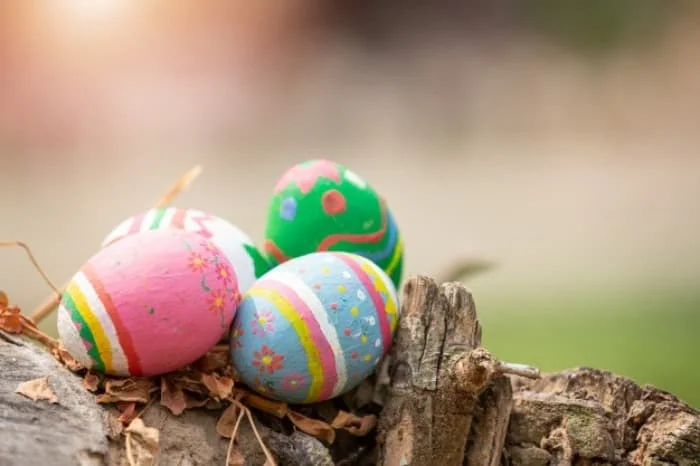 تخمه مرغ رنگی عید 94 تخمه مرغ رنگی عید