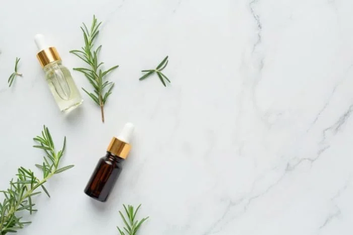 داروی گیاهی برای پرپشت شدن موی سر رزماری برای مو