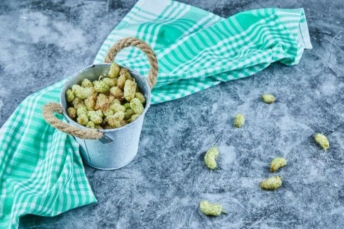 خواص توت سفید و بهترین زمان خوردن توت سفید توت سفید برای لاغری