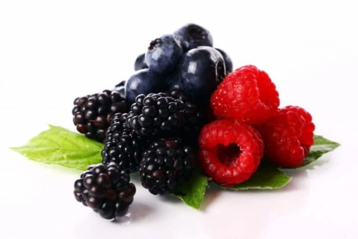 بهترین ماده غذایی برای لاغری سریع بهترین برای لاغری