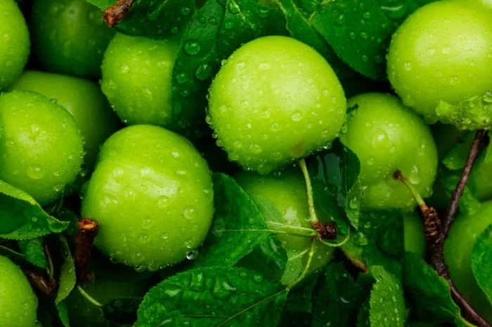 گوجه سبز خواص گوجه سبز