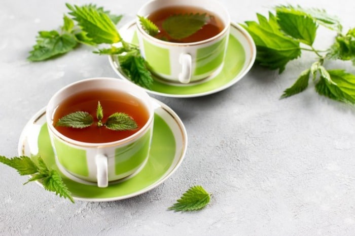 گزنه گزنه