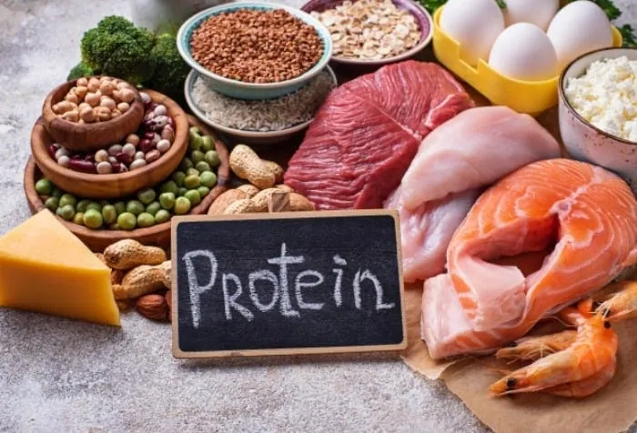 خوردن غذا با پروتئین بالا رژیم غذایی