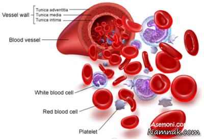 انجام آزمایش خون برای سلامتی ، آزمایش خون ازدواج ، نتیجه آزمایش خون