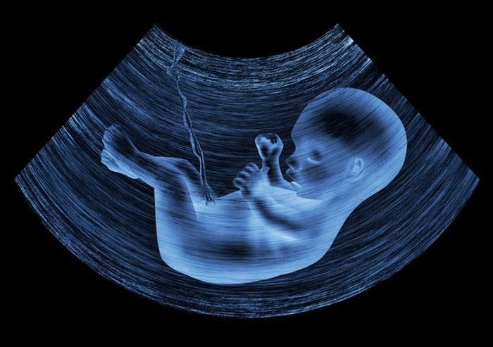 سلامت جنین در بارداری