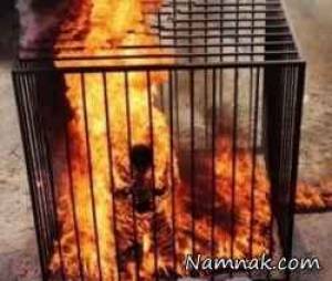 سوزاندن خلبان توسط داعش