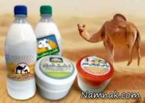 شیر شتر ، خواص شیر شتر