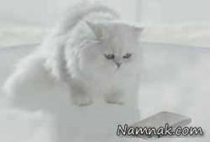 گلکسی اس 6 ، گلکسی اس 6 اج