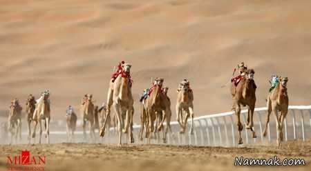 جالبترین تصاویر ورزشی ، جالبترین تصاویر ورزشی ، جدیدترین تصاویر ورزشی