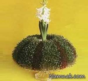 سبزه عید ، مدل سبزه عید نوروز