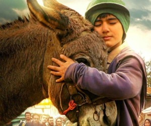 فیلم مشمشه