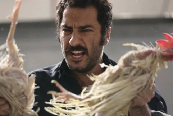 نوید محمدزاده در بدون تاریخ بدون امضاء نوید محمدزاده