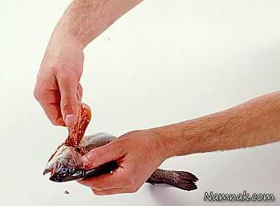 تمیز کردن ماهی قزل آلا