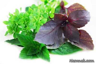 خاصیت مصرف ریحان