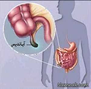 آپاندیس ، خاصیت آپاندیس