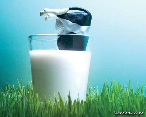 فواید انواع شیر ، ارزش غذیی شیر ، شیر شتر