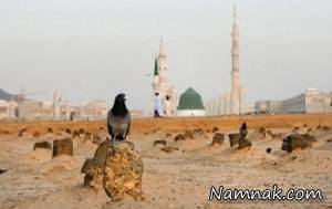 مردگان ، بازماندگان