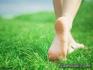 پیاده روی ، چمن