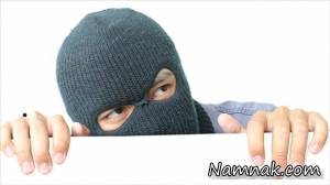 دزدی ، سارقی
