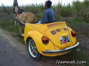 عکس های خنده دار ، سوژه های بامزه